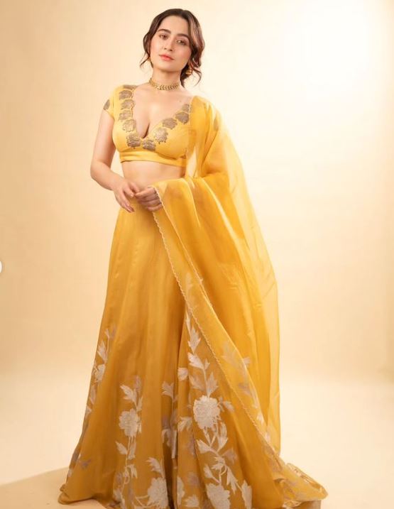 Sanjeeda Shaikh Photo